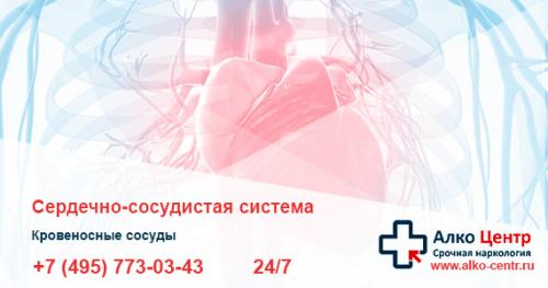 Как быстро прийти в себя после алкоголя. Что делать после длительного запоя: восстановление