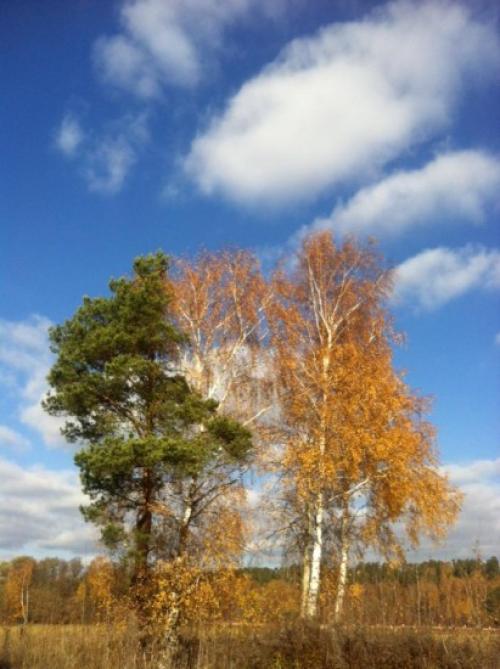 Связь между человеком и природой. Связь человека и природы 02