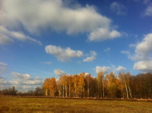 Связь между человеком и природой. Связь человека и природы 01