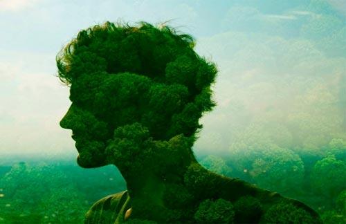 Связь между человеком и природой. Связь человека и природы 03