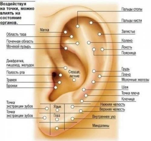 Проблемы после прокола ушей. О детском пирсинге