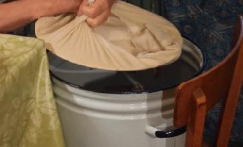 Как мариновать грибы оленьи рожки. Как мариновать оленьи рожки на зиму