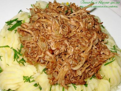 Как мариновать грибы оленьи рожки. Как мариновать оленьи рожки на зиму