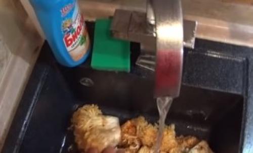 Как мариновать грибы оленьи рожки. Как мариновать оленьи рожки на зиму