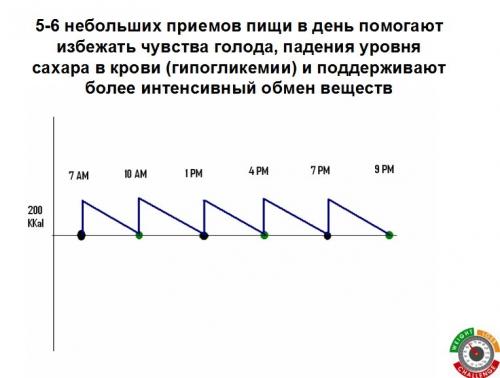 Как гербалайфе влияет на метаболизм и процессы сжигания жира. Школа питания