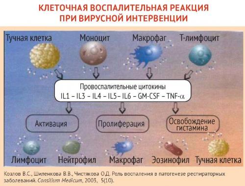 Какие лекарства можно использовать для лечения гриппа у взрослых. Грипп в современных условиях: Противовирусная терапия прямого действия