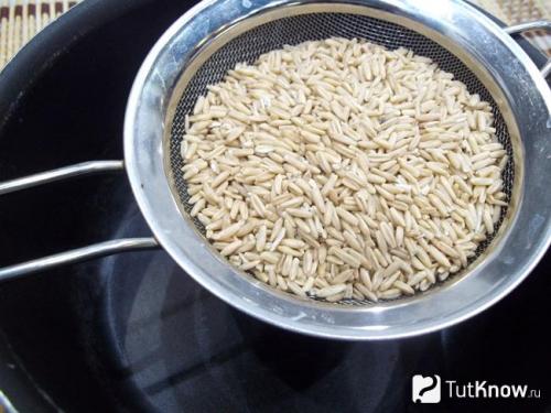 Каша из тыквы диетическая рецепт. Как приготовить кашу из тыквы быстро и вкусно – 7 простых рецептов 27