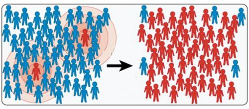 Неудобные вопросы о гриппе: что скрывают за статистикой 02