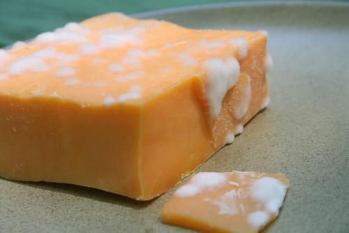 Сыр с плесенью: польза и вред для здоровья 03