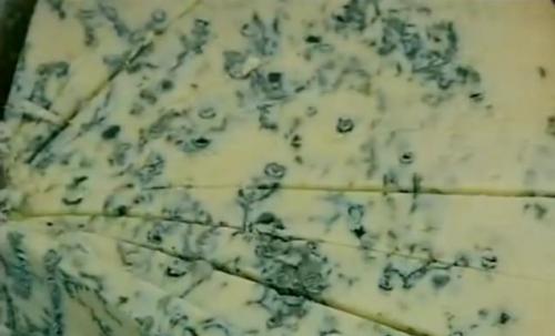 Легенда о горгонзоле: Путешествие по миру сыров с голубой плесенью 02