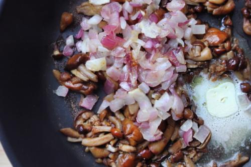 Как приготовить опята в сливочном соусе. Опята в сливочном соусе: пошаговые рецепты с фото