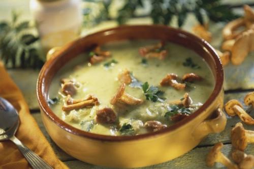 Какие способы приготовления замороженных опят существуют. 20 простых и вкусных блюд с опятами