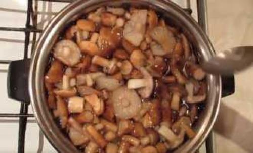 Как приготовить замороженные опята: простые и вкусные рецепты 10 Как приготовить замороженные опята: простые и вкусные рецепты 10