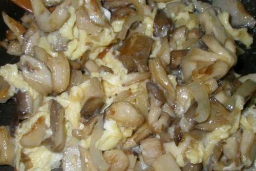 Есть ли вегетарианские варианты вторых блюд с опятами. 12 способов вкусно приготовить жареные опята