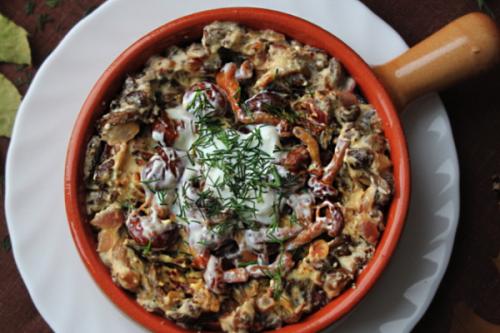 Как приготовить опята в сливочном соусе. Опята в сливочном соусе: пошаговые рецепты с фото