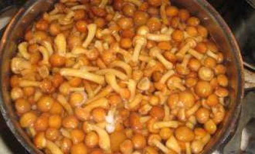 Как приготовить замороженные опята: простые и вкусные рецепты 02 Как приготовить замороженные опята: простые и вкусные рецепты 02