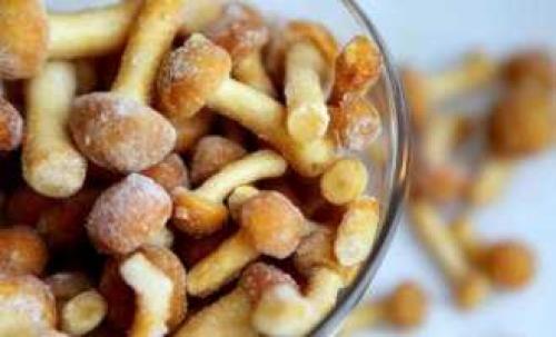 Как приготовить замороженные опята: простые и вкусные рецепты 01 Как приготовить замороженные опята: простые и вкусные рецепты 01
