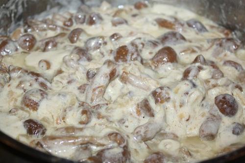 Какие способы приготовления замороженных опят существуют. 20 простых и вкусных блюд с опятами