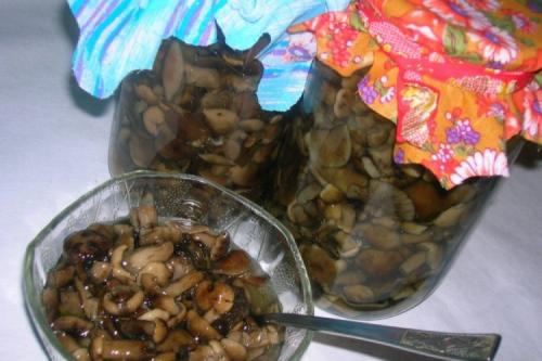 Как приготовить опята, чтобы они были вкусными и ароматными. 12 способов вкусно приготовить жареные опята