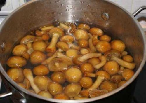 Как приготовить замороженные опята: простые и вкусные рецепты 15 Как приготовить замороженные опята: простые и вкусные рецепты 15