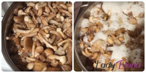 Как правильно охладить опята после варки. Сколько минут варить опята для маринования
