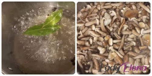 Как правильно охладить опята после варки. Сколько минут варить опята для маринования