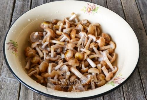 Полное руководство: как правильно варить опята для заморозки 01