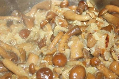 Какие существуют способы приготовления опят. 12 способов вкусно приготовить жареные опята