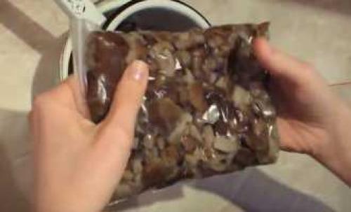 Как приготовить замороженные опята: простые и вкусные рецепты 13 Как приготовить замороженные опята: простые и вкусные рецепты 13