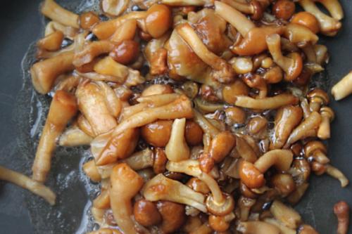 Как приготовить опята в сливочном соусе. Опята в сливочном соусе: пошаговые рецепты с фото