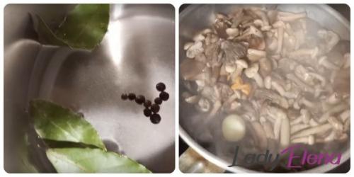 Как правильно охладить опята после варки. Сколько минут варить опята для маринования