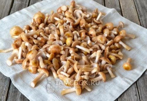 Полное руководство: как правильно варить опята для заморозки 02