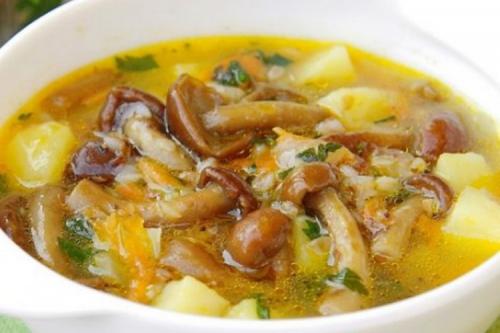 Какие шаги нужны для приготовления вкусного супа из зимних опят. Грибной суп из опят: 15 самых простых и вкусных рецептов