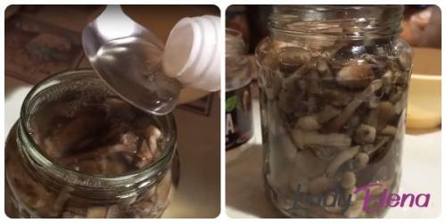 Сколько времени варить опята до готовности. Сколько минут варить опята для маринования