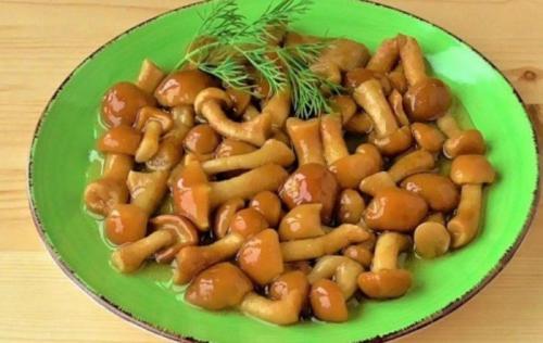 Как и сколько варить опята. Как варить опята: до полной готовности, нужно ли отварить для жарки, рецепты, советы