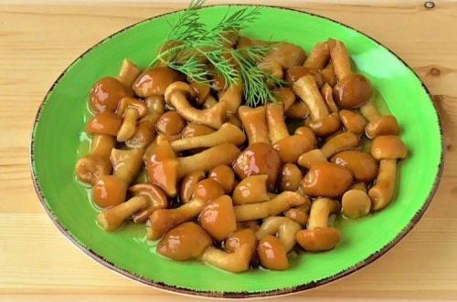 Можно ли варить опята в микроволновке. Варись, варись, опенок!