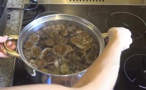 Можно ли консервировать опята на зиму. Маринованные опята на зиму — самые вкусные рецепты приготовления