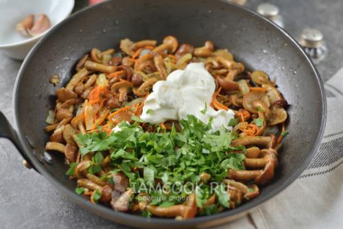 Жареные опята: 12 оригинальных способов приготовления 01 Жареные опята: 12 оригинальных способов приготовления 01