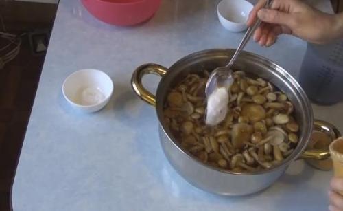 Можно ли консервировать опята на зиму. Маринованные опята на зиму — самые вкусные рецепты приготовления