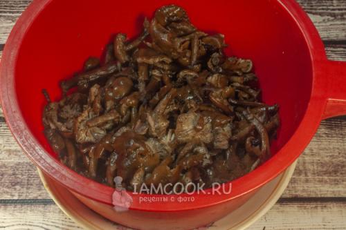 Как готовить гриб фламмулину зимний опенок: простые и вкусные рецепты 14 Как готовить гриб фламмулину зимний опенок: простые и вкусные рецепты 14