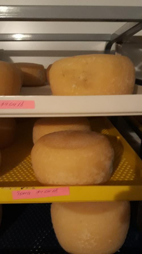 Можно ли есть корочку сыра. Какие сырные корочки съедобны, а какие не очень