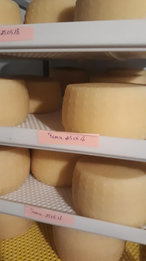 Можно ли есть корочку сыра. Какие сырные корочки съедобны, а какие не очень