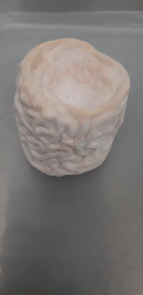 Можно ли есть корочку сыра. Какие сырные корочки съедобны, а какие не очень