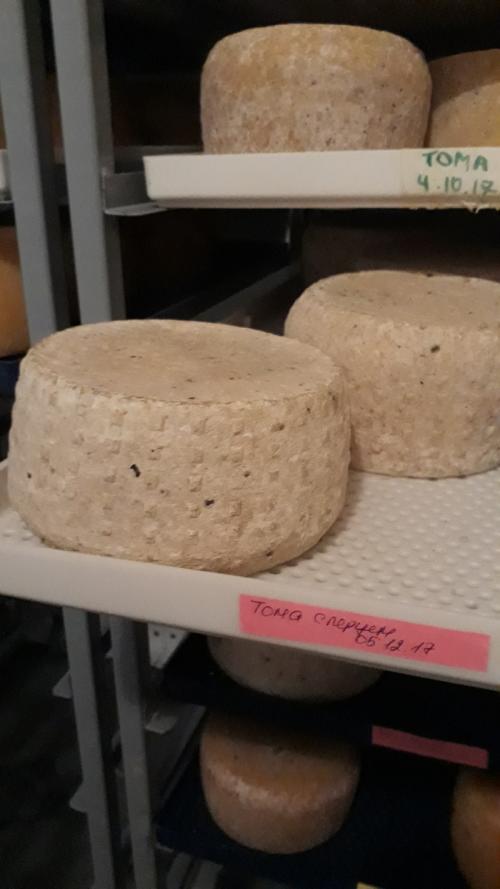 Можно ли есть корочку сыра. Какие сырные корочки съедобны, а какие не очень