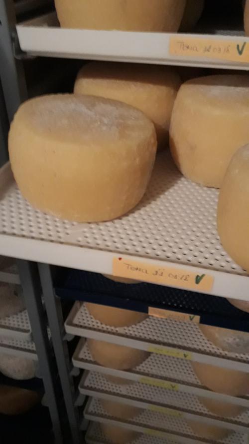 Можно ли есть корочку сыра. Какие сырные корочки съедобны, а какие не очень