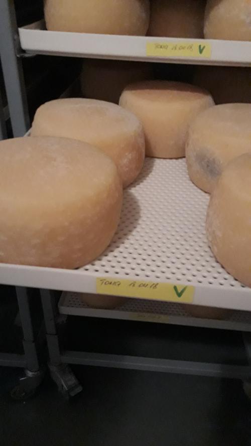 Можно ли есть корочку сыра. Какие сырные корочки съедобны, а какие не очень