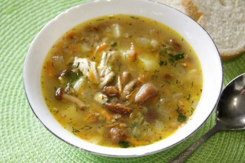 Какие основные блюда можно приготовить с опятами. 20 простых и вкусных блюд с опятами