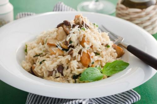 Какие основные блюда можно приготовить с опятами. 20 простых и вкусных блюд с опятами