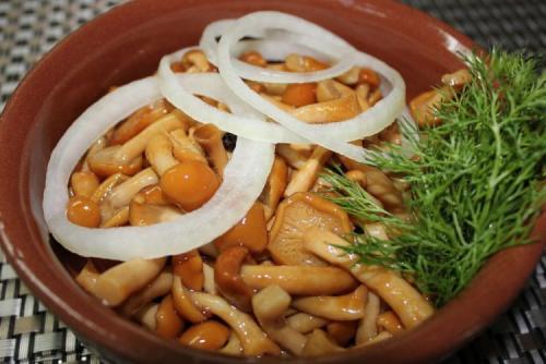 Какие основные блюда можно приготовить с опятами. 20 простых и вкусных блюд с опятами
