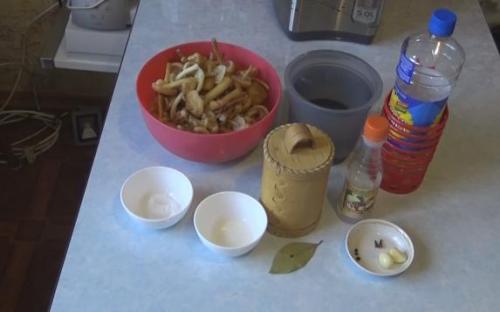 Как сохранить опята на зиму для использования в различных блюдах. Маринованные опята на зиму — самые вкусные рецепты приготовления